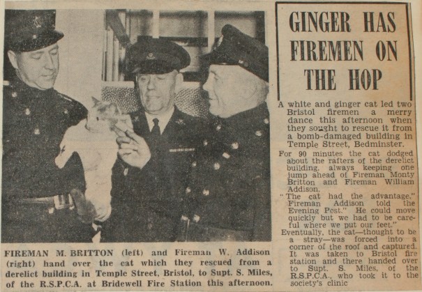 Evening Post 28th December 1959