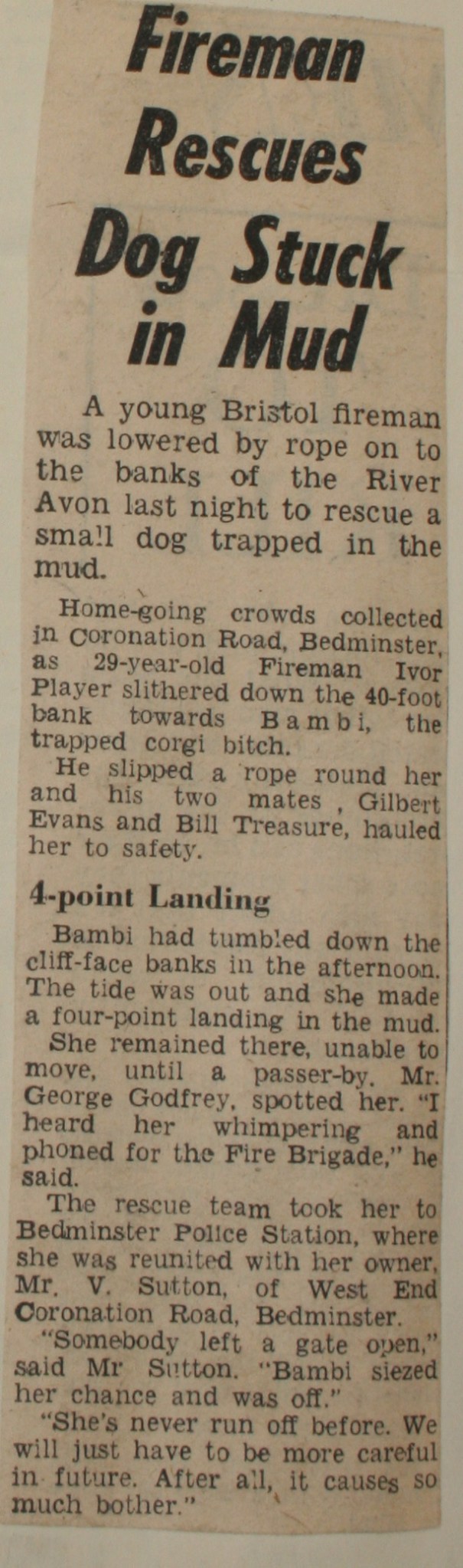 Evening World 17th Feb 1960